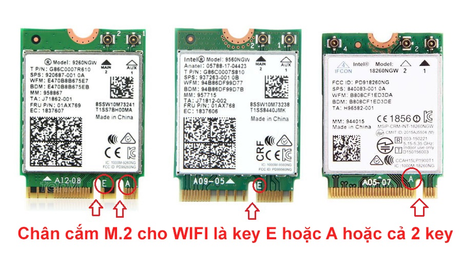 Hướng dẫn cách phân biệt khe cắm M2 WIFI và M2 SSD cho máy tính bàn PC